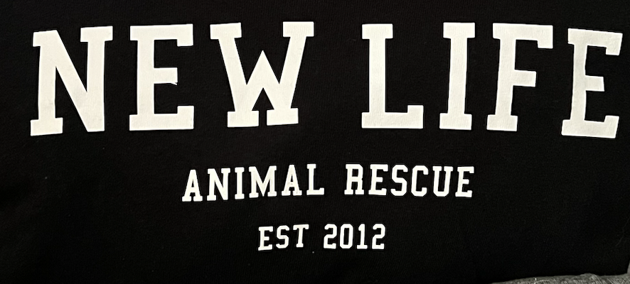 Screenshot 2024-12-11 at 12.16.53 PM.png