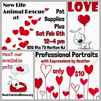 New Life at Pet Supplies Plus