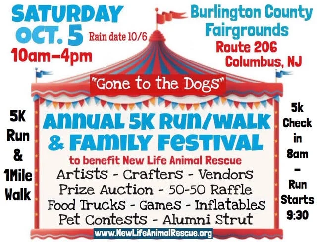 2019 flyer.jpg