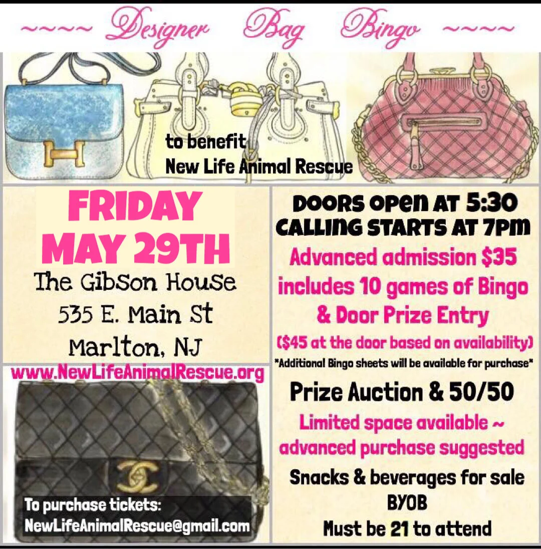 Designer Bag Bingo for New Life Animal Rescue 