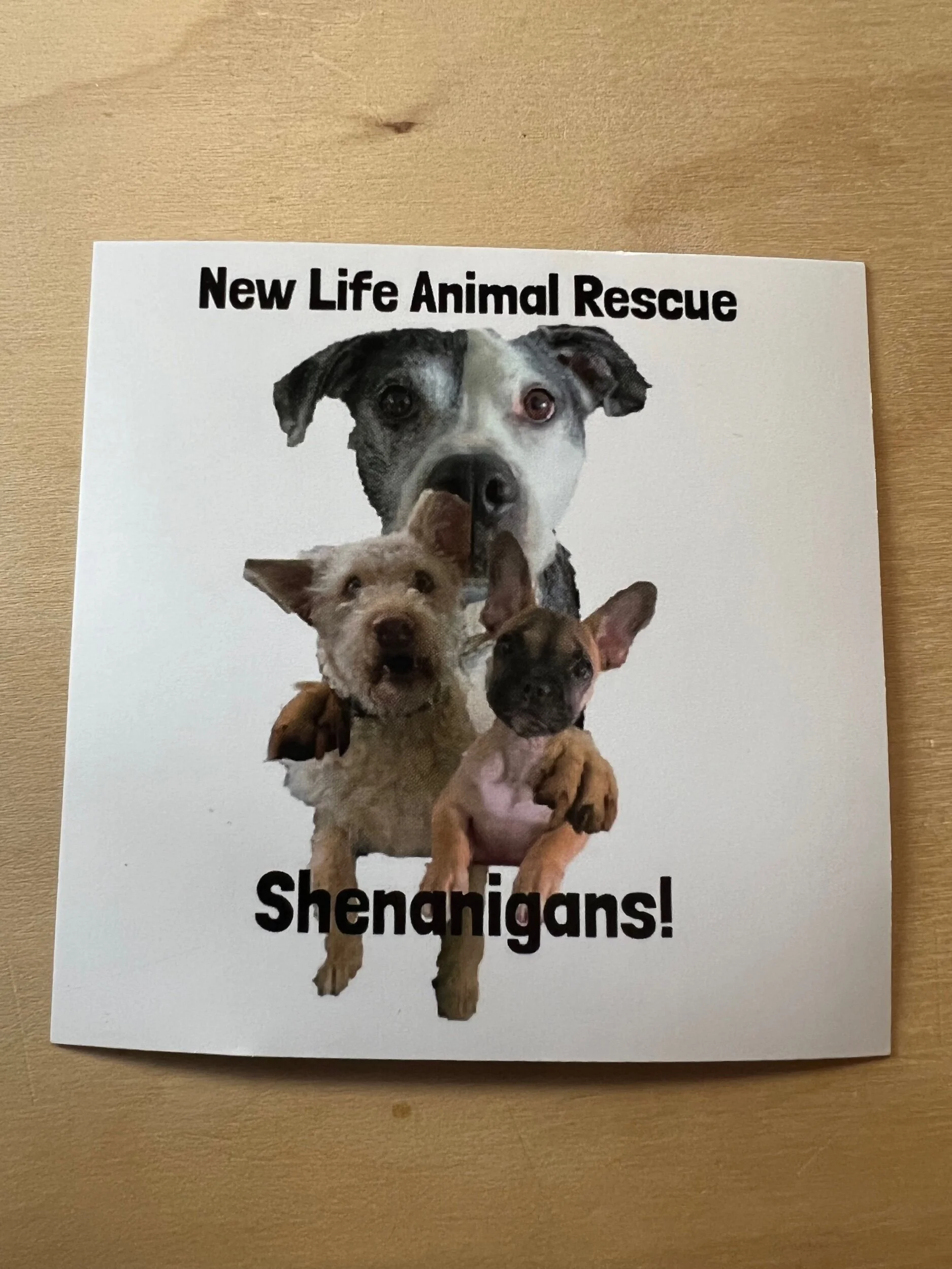 65A67EB1-A87C-4E1D-9D5D-090E58D8B4CE