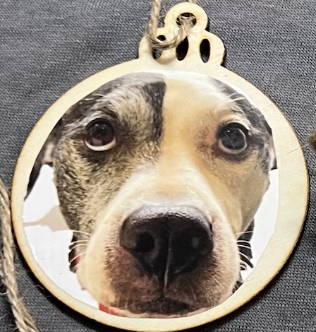 Screenshot 2024-12-11 at 2.11.36 PM.png