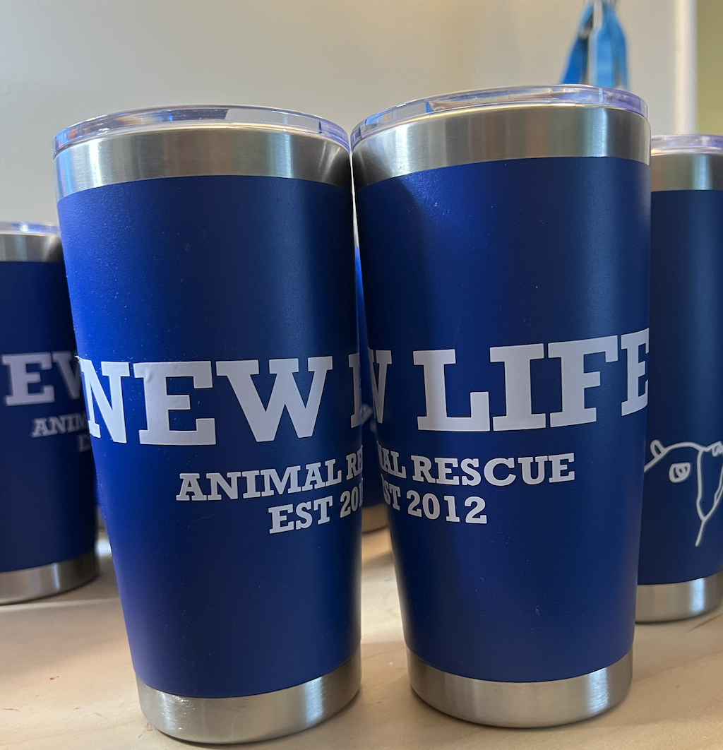 Screenshot 2024-12-11 at 1.14.14 PM.png