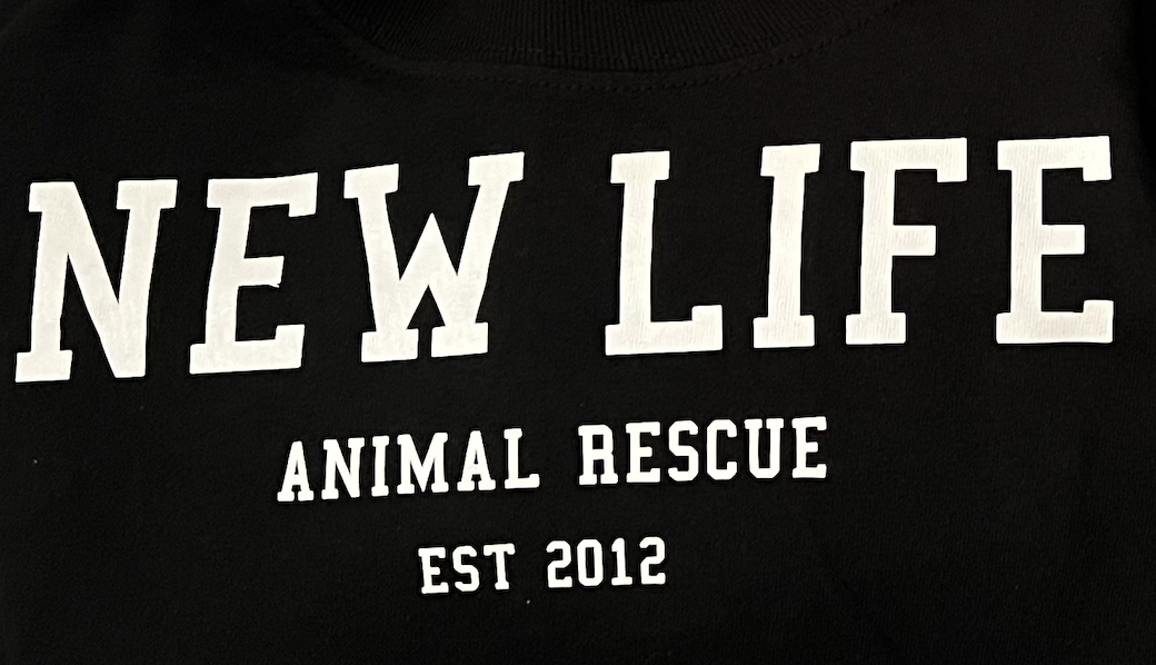 Screenshot 2024-12-11 at 12.05.41 PM.png