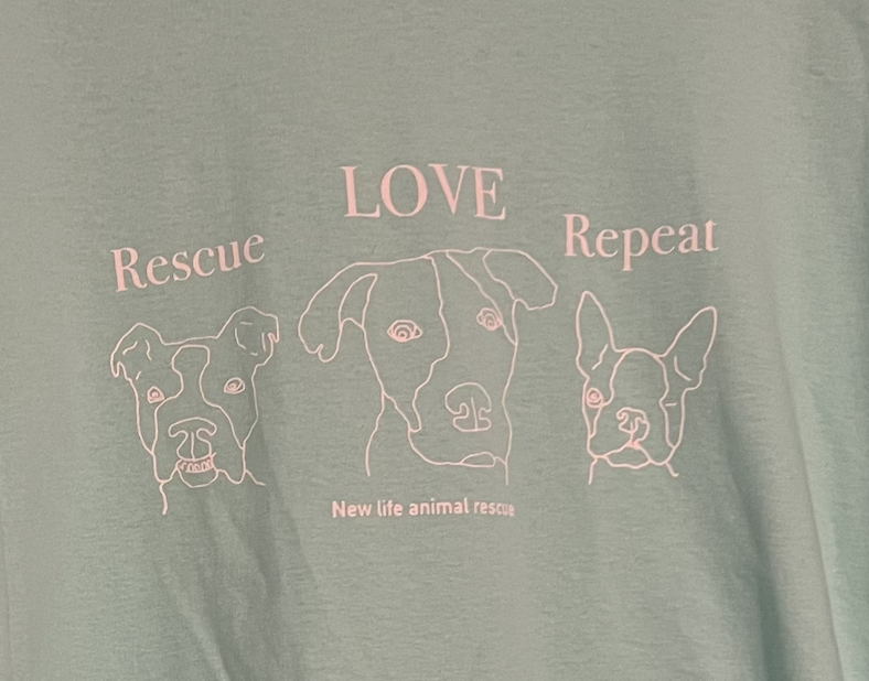 Screenshot 2024-12-11 at 12.34.43 PM.png