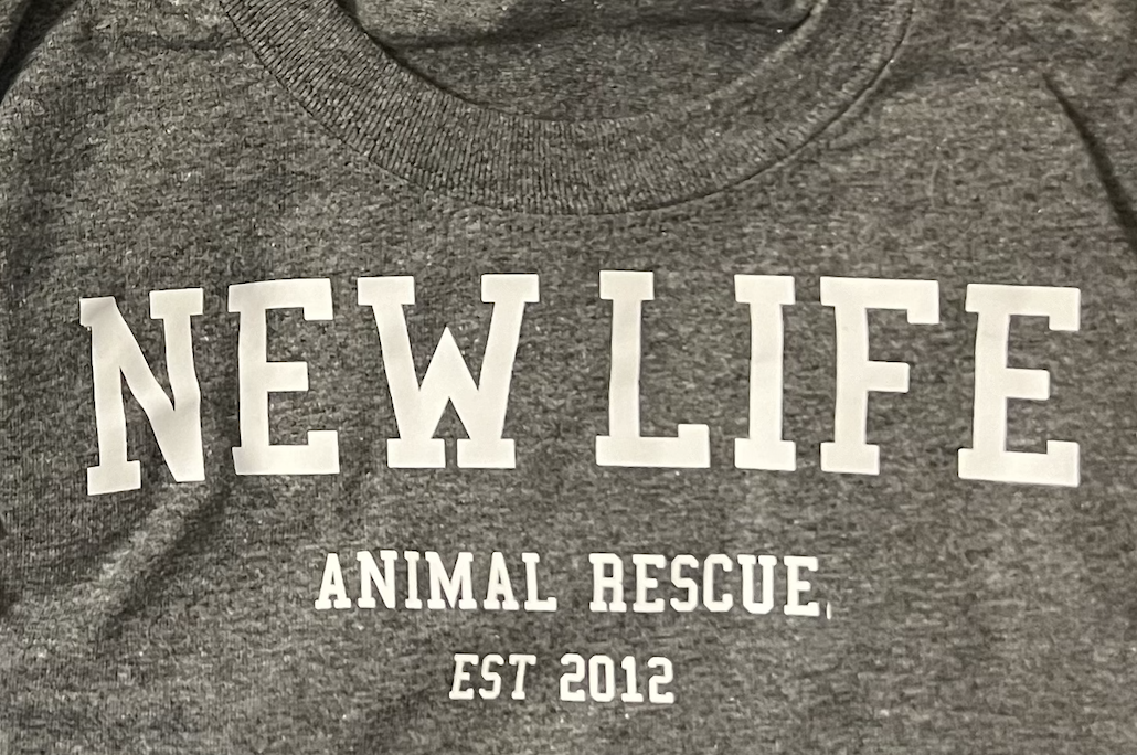 Screenshot 2024-12-11 at 12.05.47 PM.png