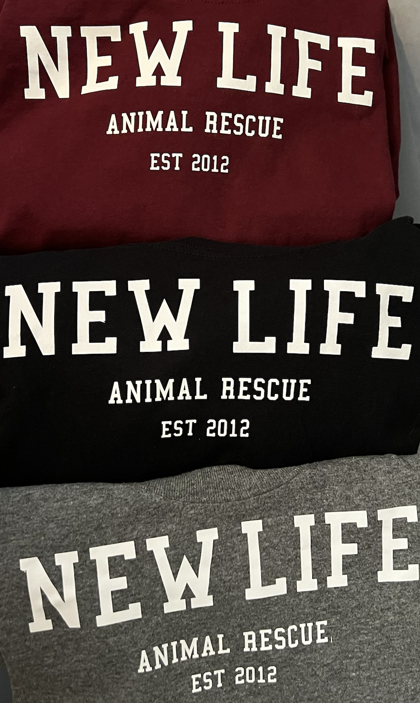 Screenshot 2024-12-11 at 12.16.34 PM.png