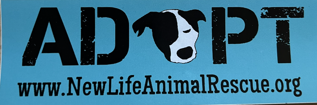 Screenshot 2024-12-11 at 5.08.26 PM.png