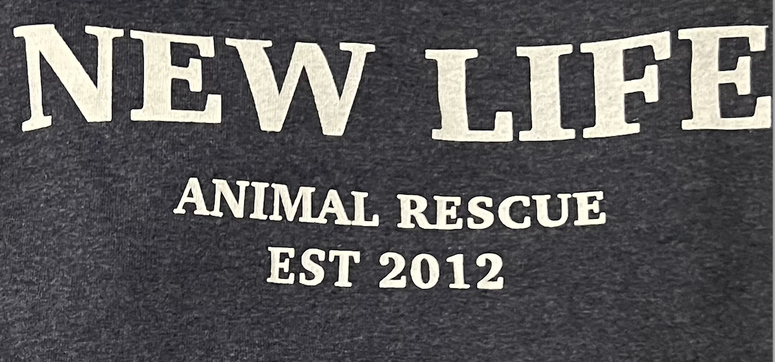 Screenshot 2024-12-11 at 12.05.26 PM.png