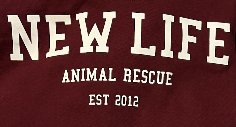 Screenshot 2024-12-11 at 12.16.45 PM.png