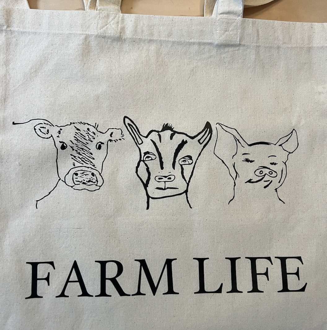 Screenshot 2024-12-11 at 1.39.56 PM.png