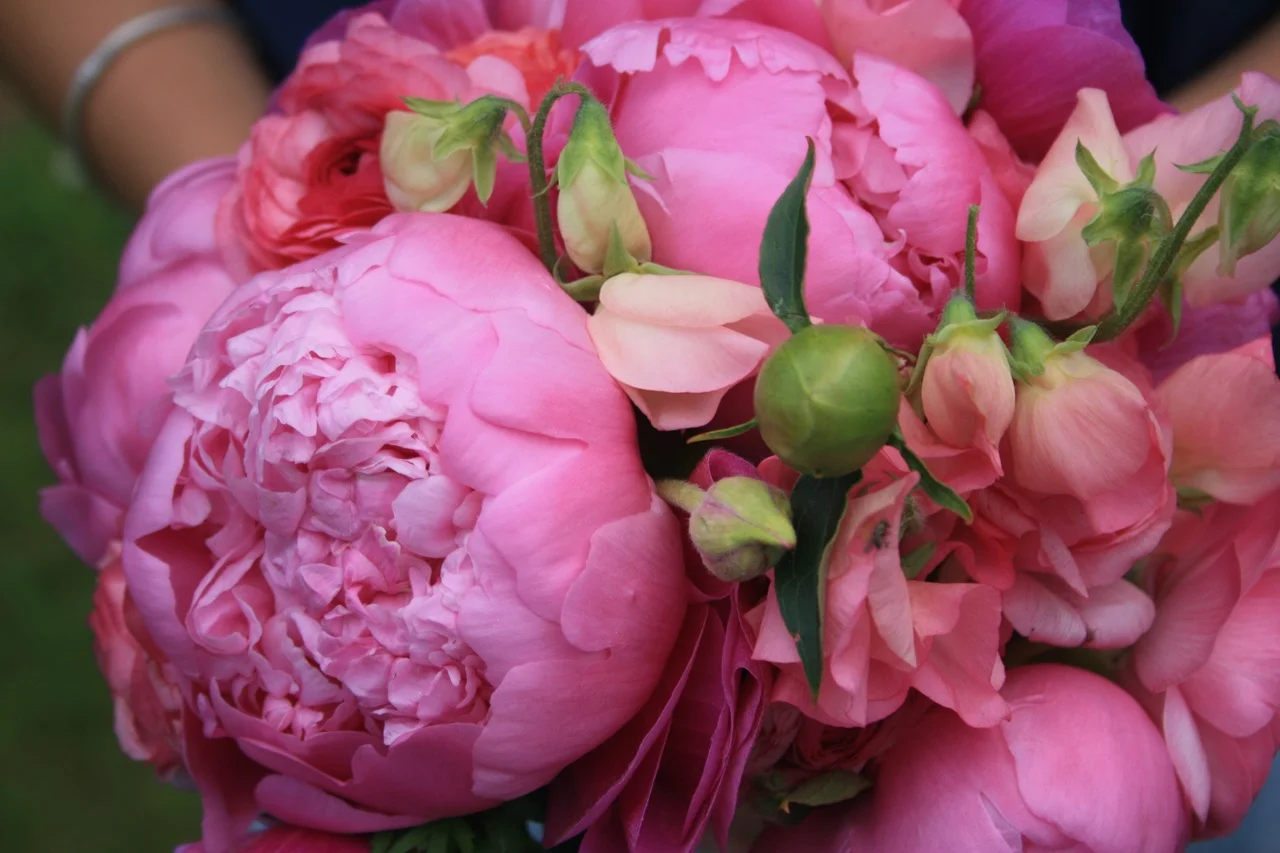 pink-peonies-and-sweet-peas-bouquet_16231726872_o.jpg