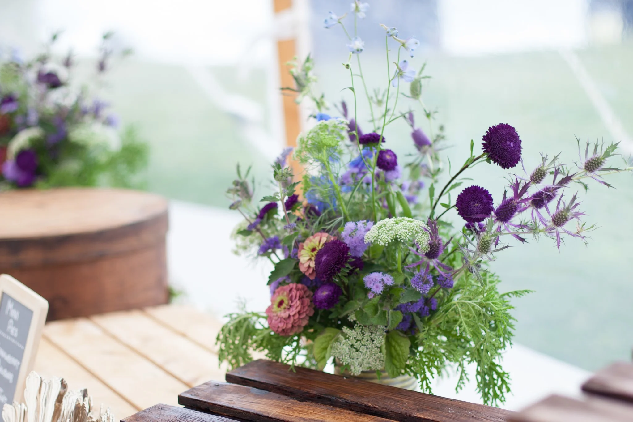 wild purple.jpg