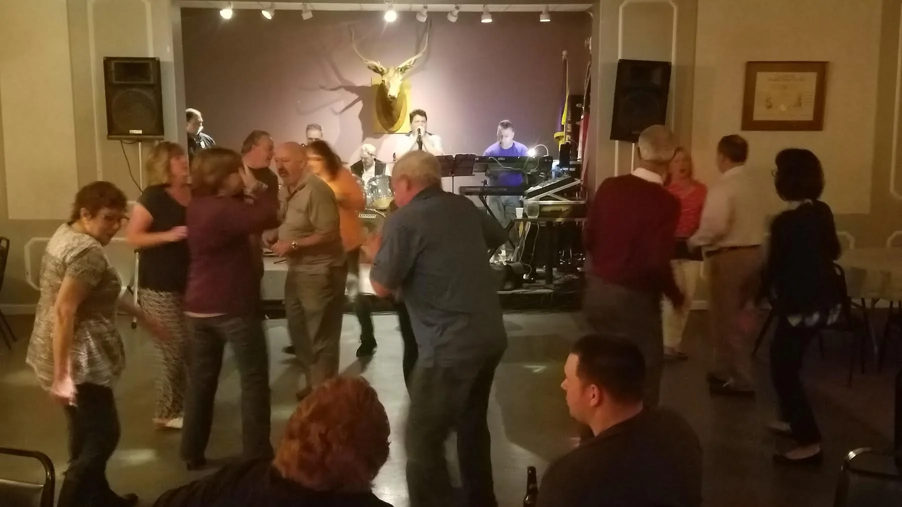 Vet Fundraiser Dancing.jpg