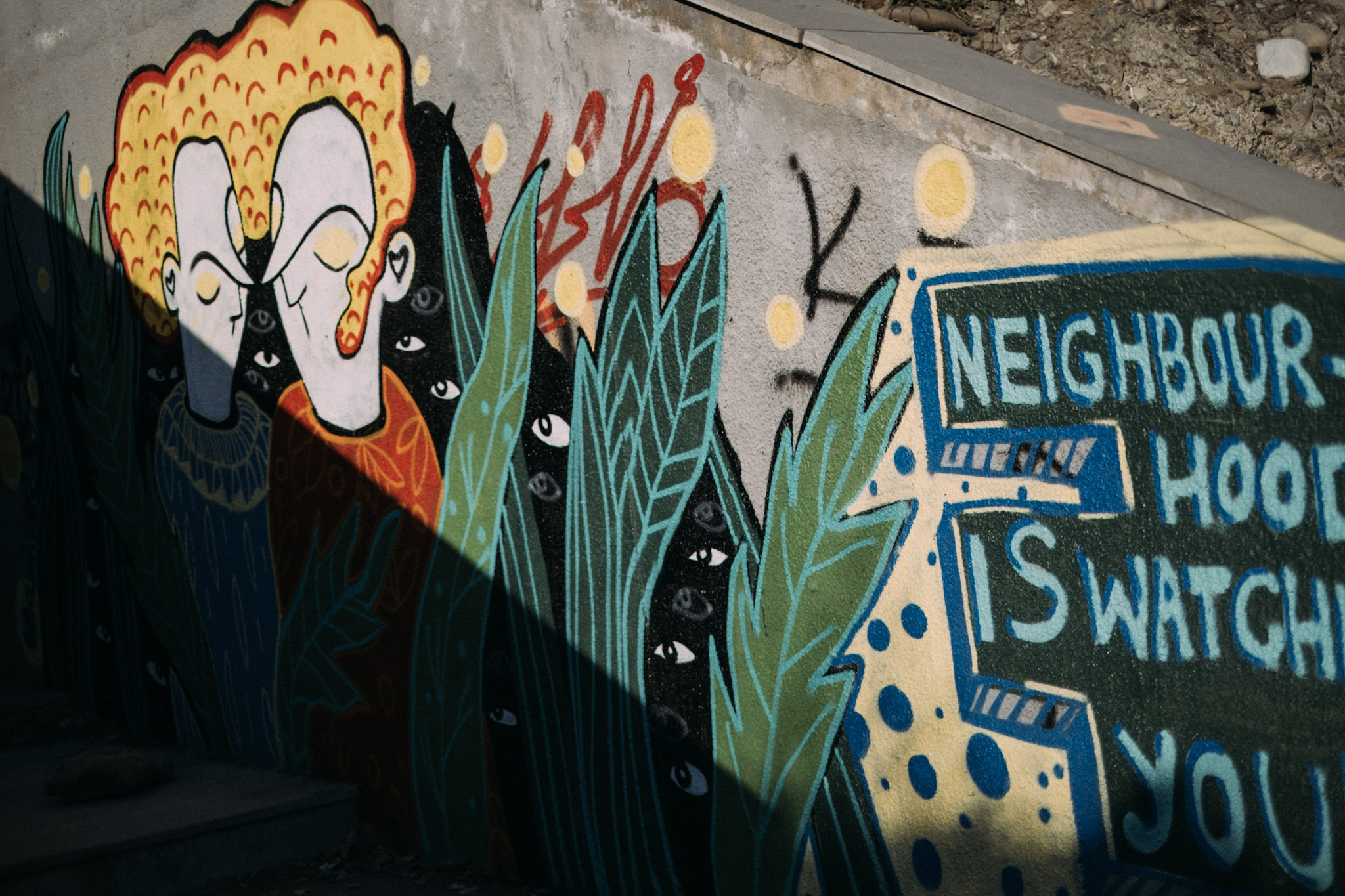 Neighbourhood is watching you.jpg