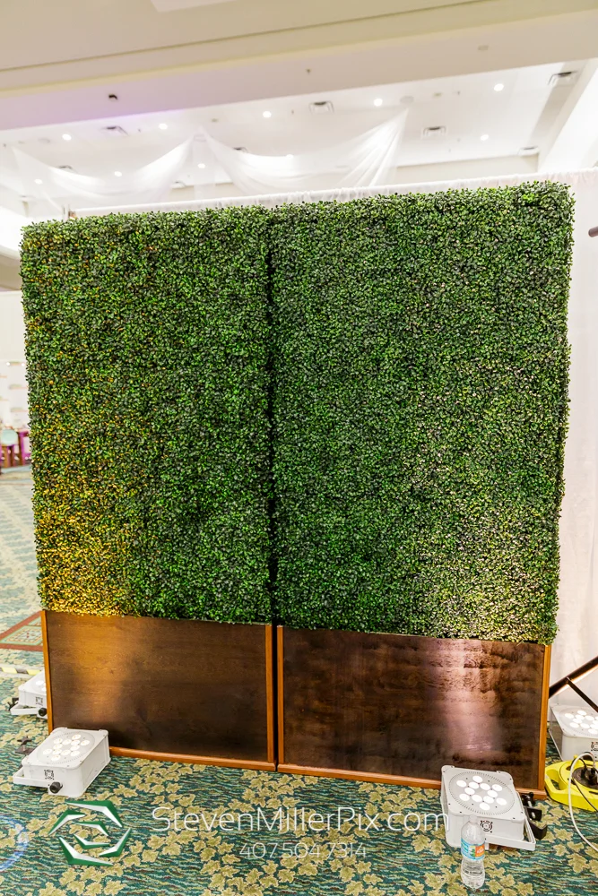 Hedge Walls 2.jpg