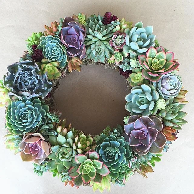 Succulent Wreath.jpg