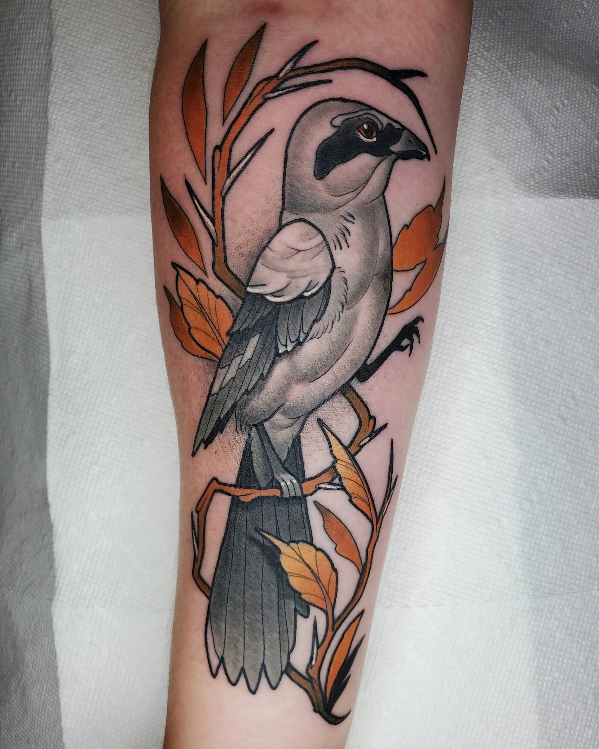 Cam Sevigne Great Spirits Tattoo