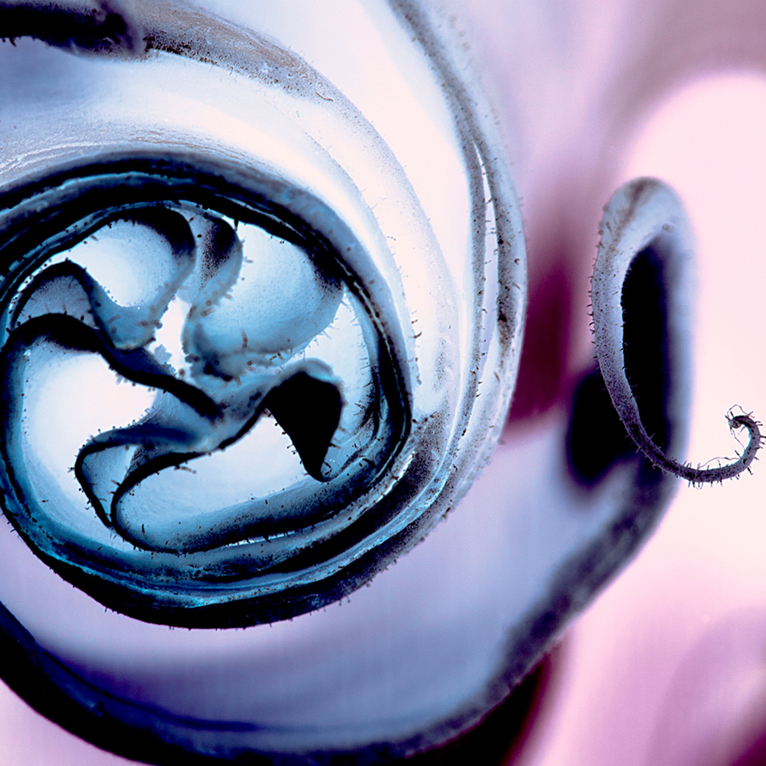 LKP_20150917_0095-detail.jpg