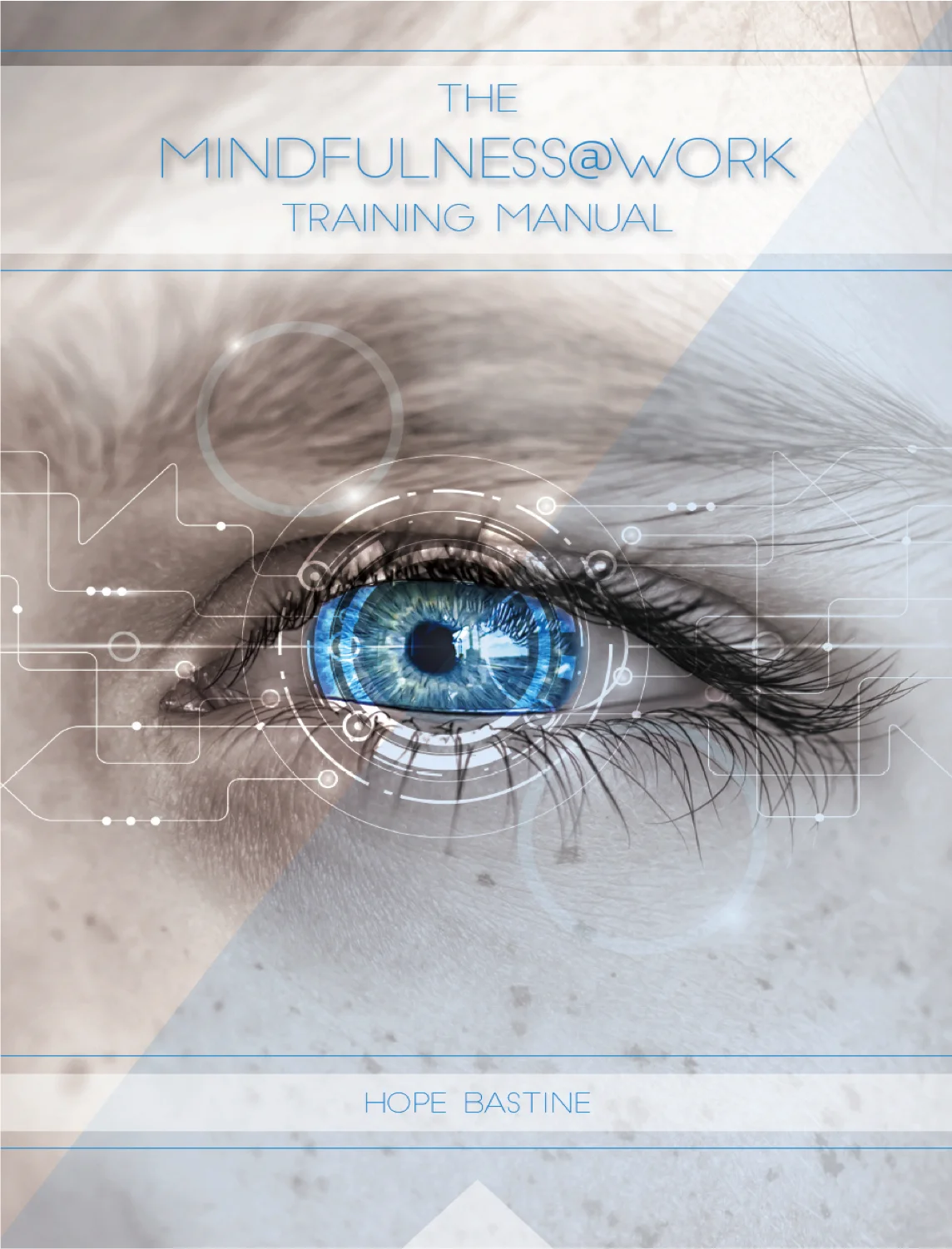 The Mindfulness at Work Training Manual