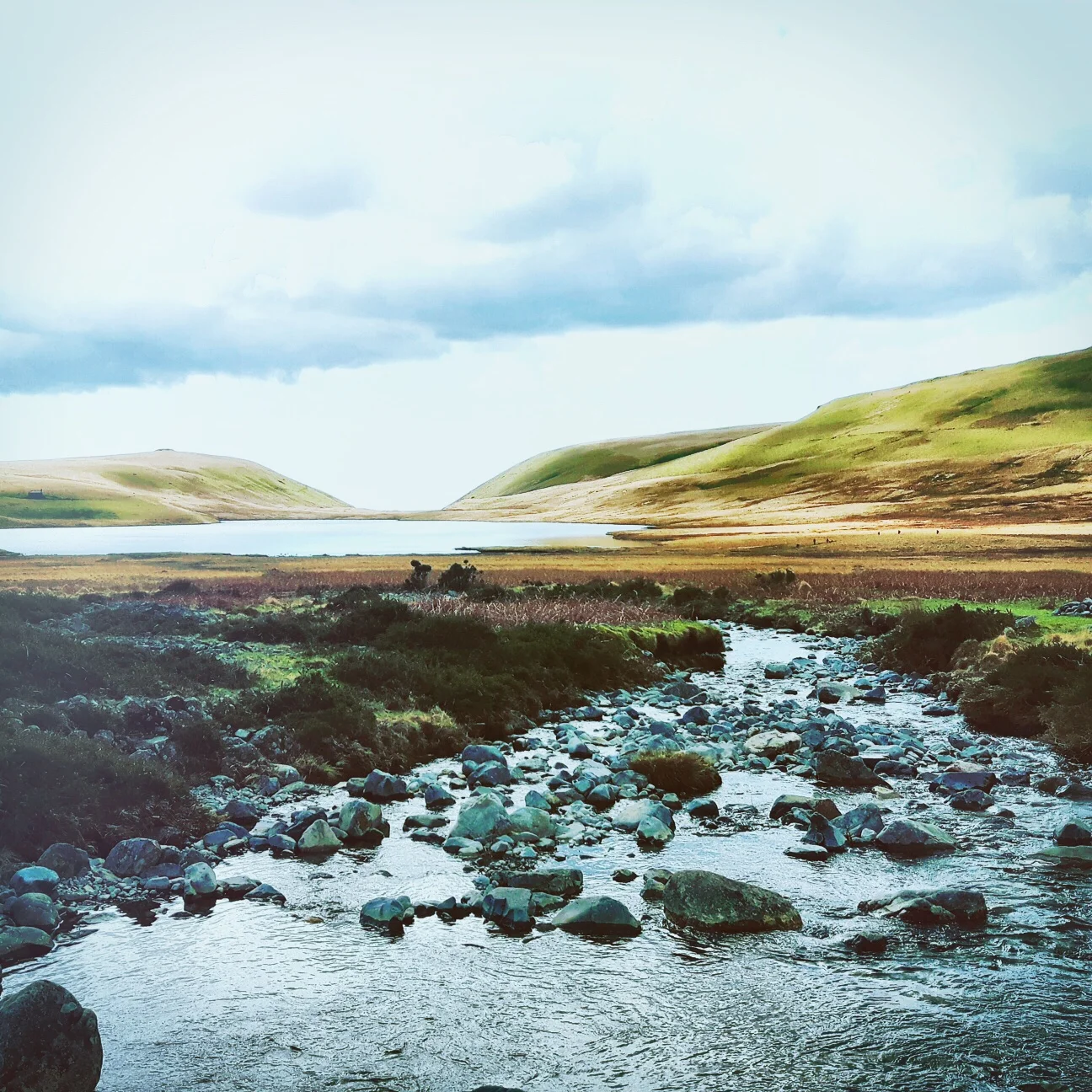 Summer Wellbeing Retreat