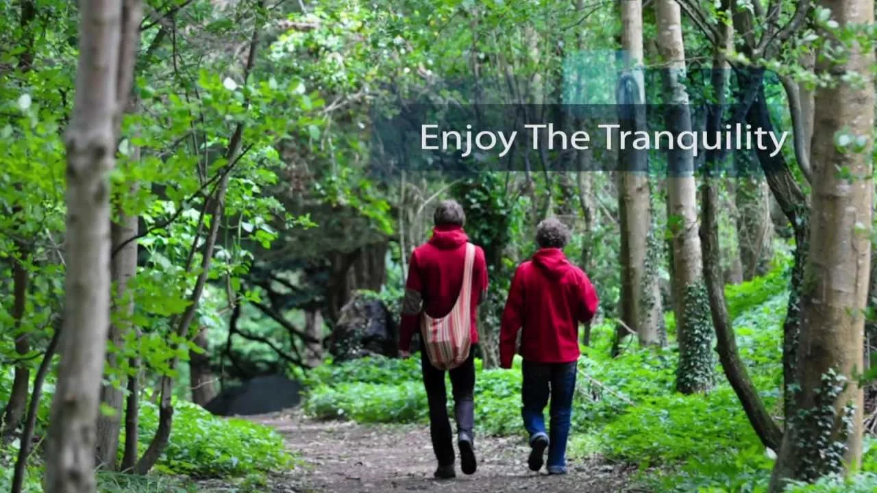 Priory grounds at the Majushri Kadampa Meditation Centre for Peace