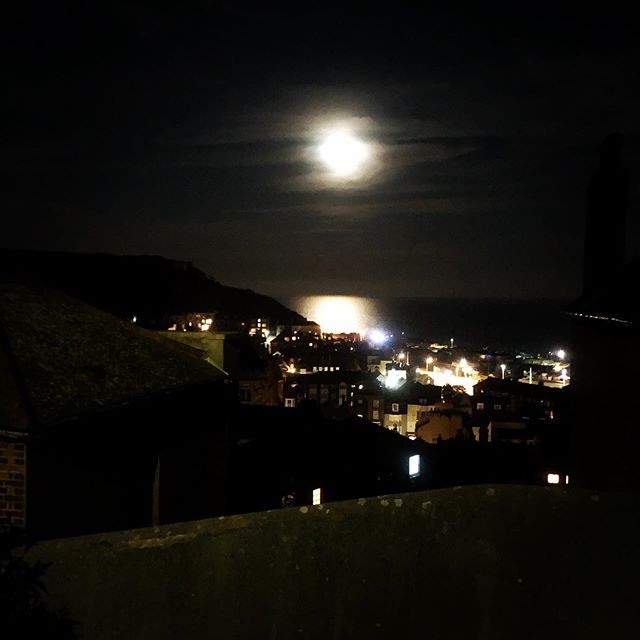 Moon 🌒 view silence and stillness #nature at its best doing what it does.