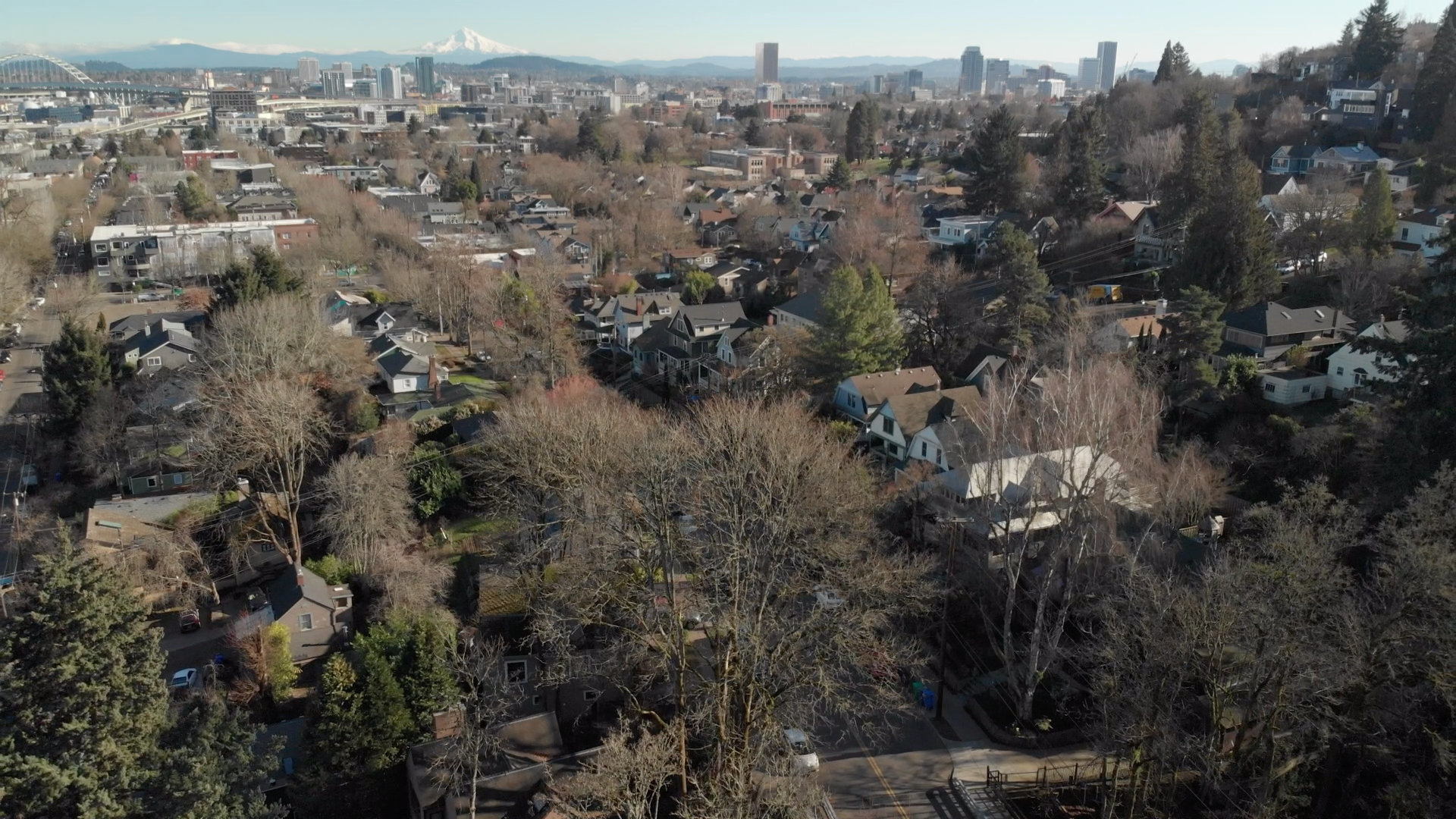 Screen Shot 2019-09-21 at 12.49.31 AM.png