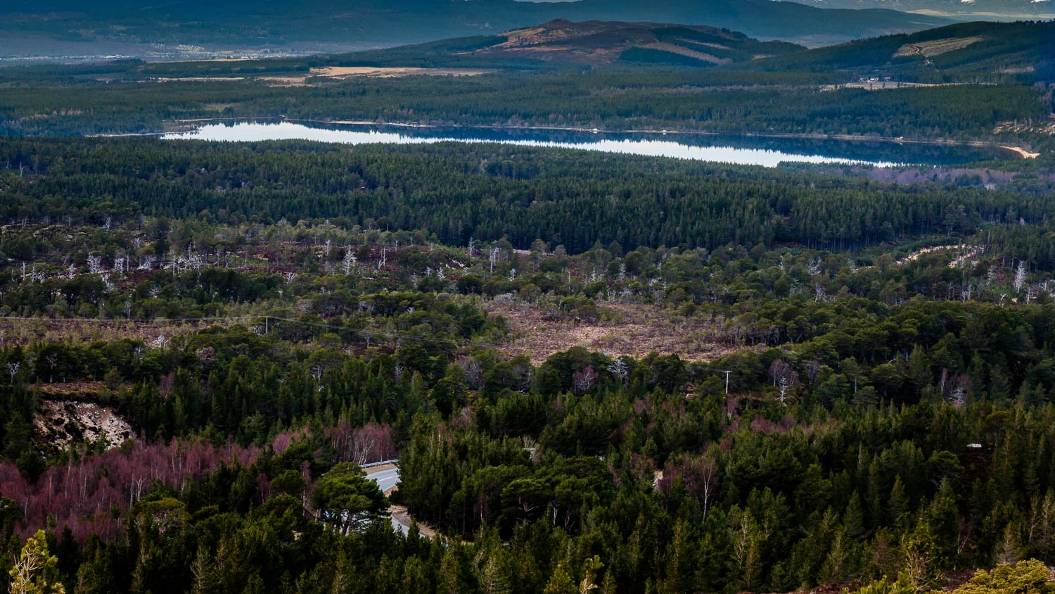 Loch Morlich and the Rothiemurchus Forest