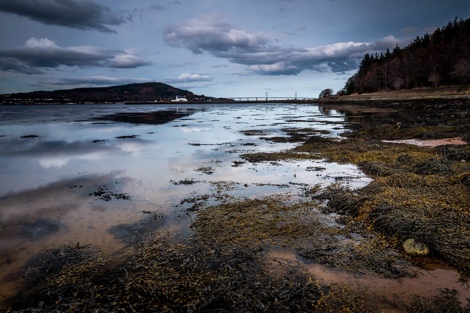 Looking to the Kessock Bridge from the shores of the Beauly Firth.