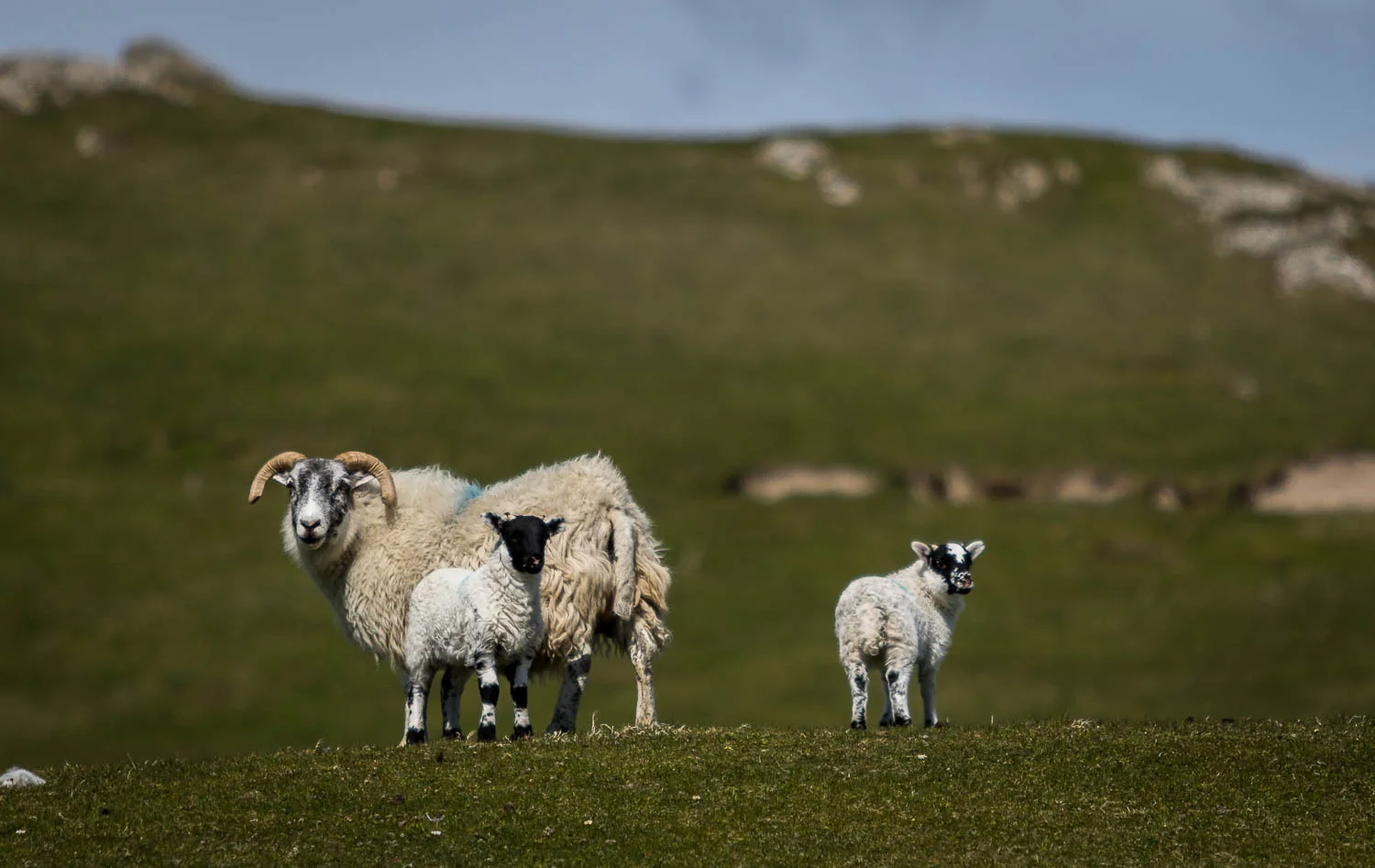 The bemused locals..! Photo courtesy of Anna Weir