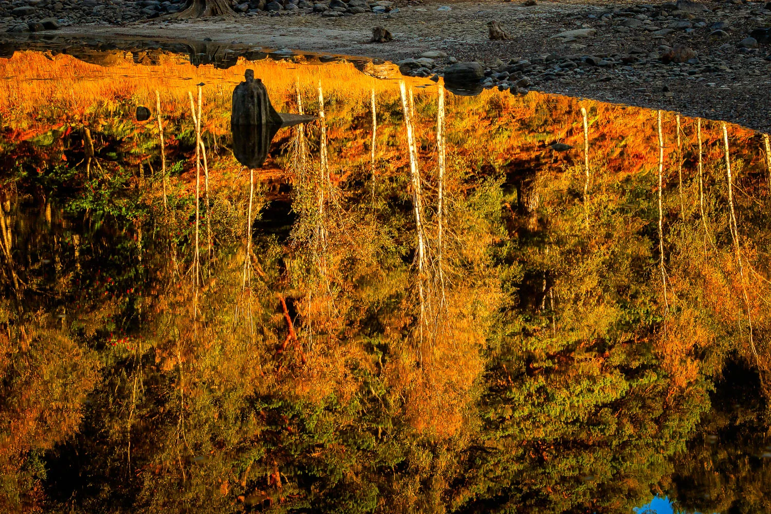 Autumn Reflections