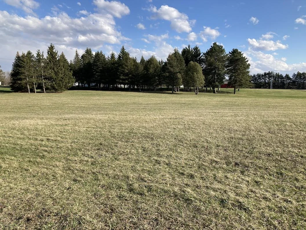 SOLD!!!   Large, Buildable Lot!