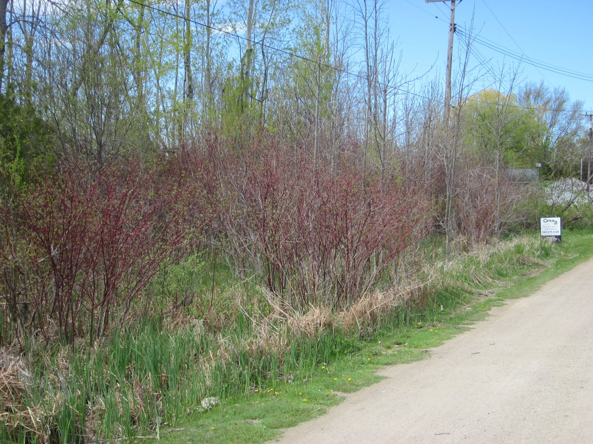 SOLD!!!   Vacant, Lake Access Lot!