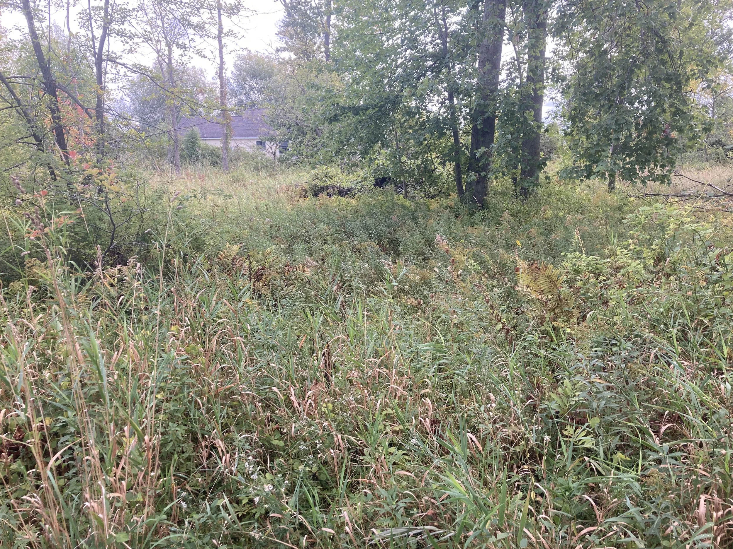 2 vacant lots-Lake Huron access