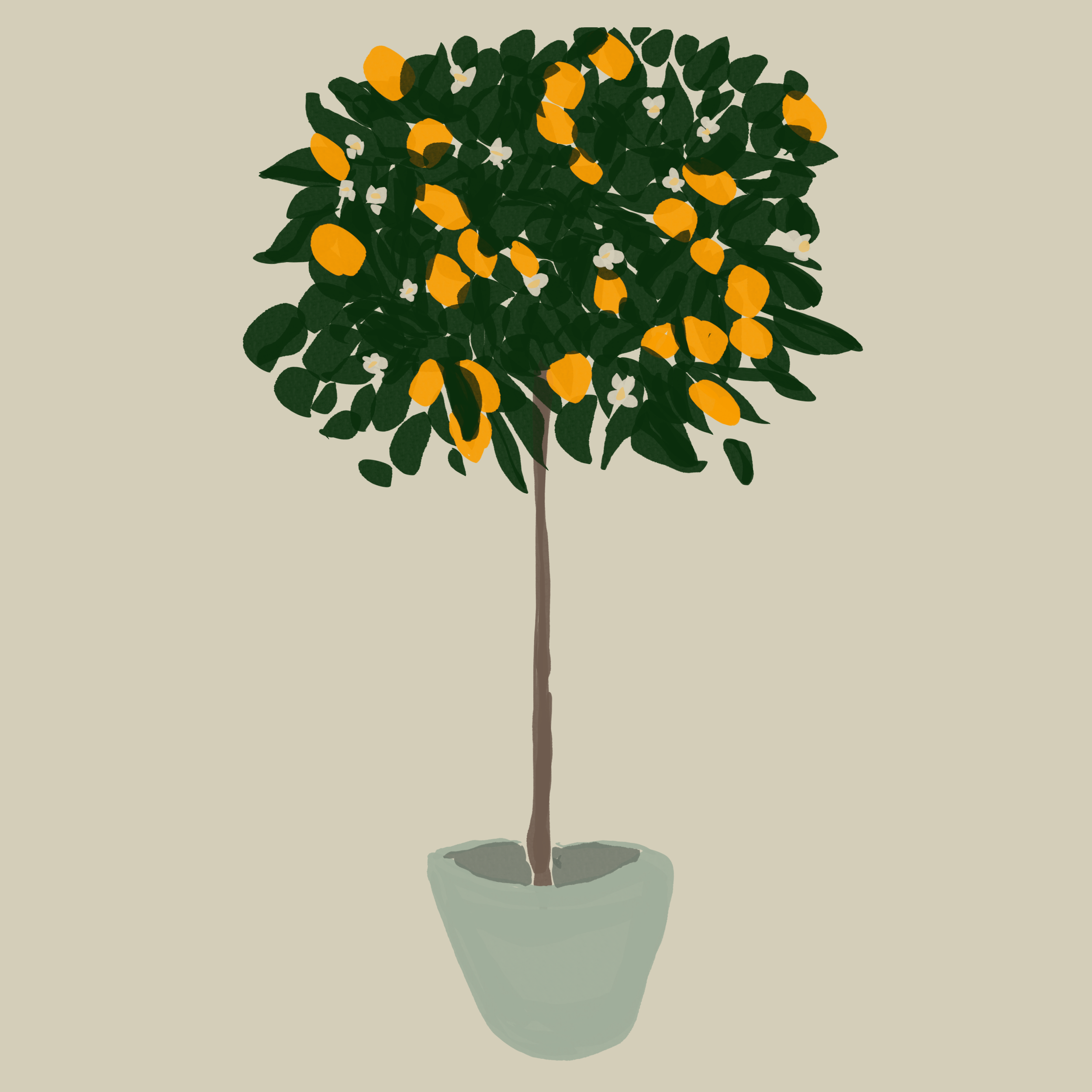 ip_fruittree_Untitled_Artwork 11.png
