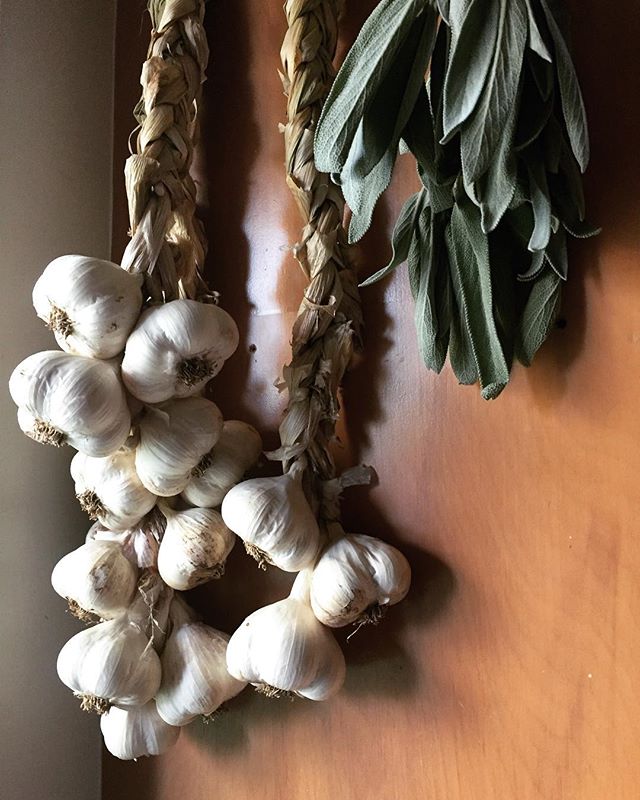 The things we grow...