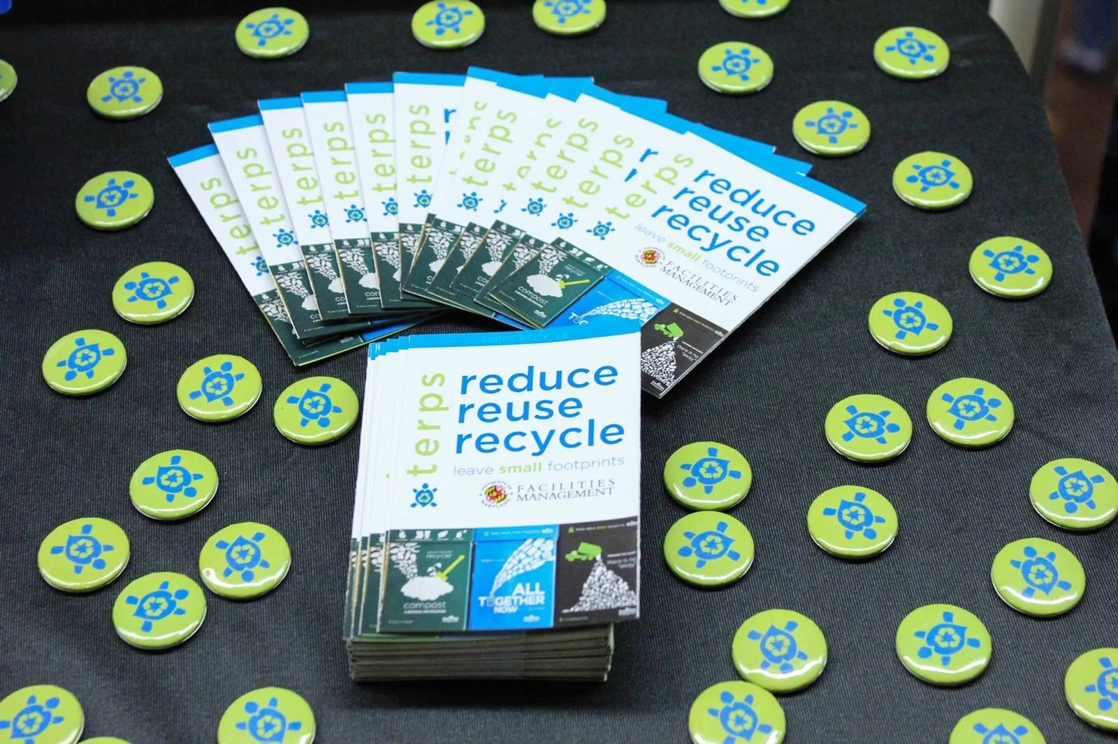 UMD_Sustainability_Pins.jpg