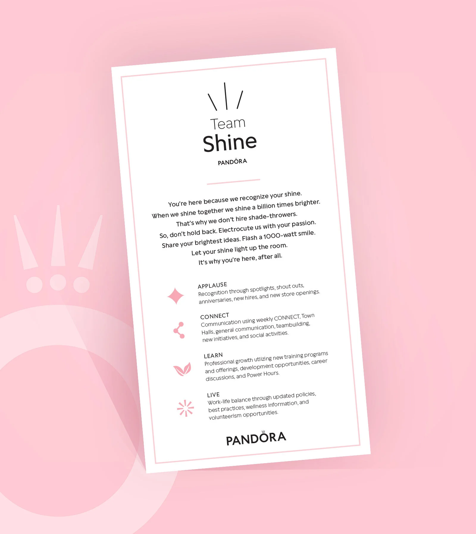 Pandora_TeamShine_Flyer_Mockup.jpg