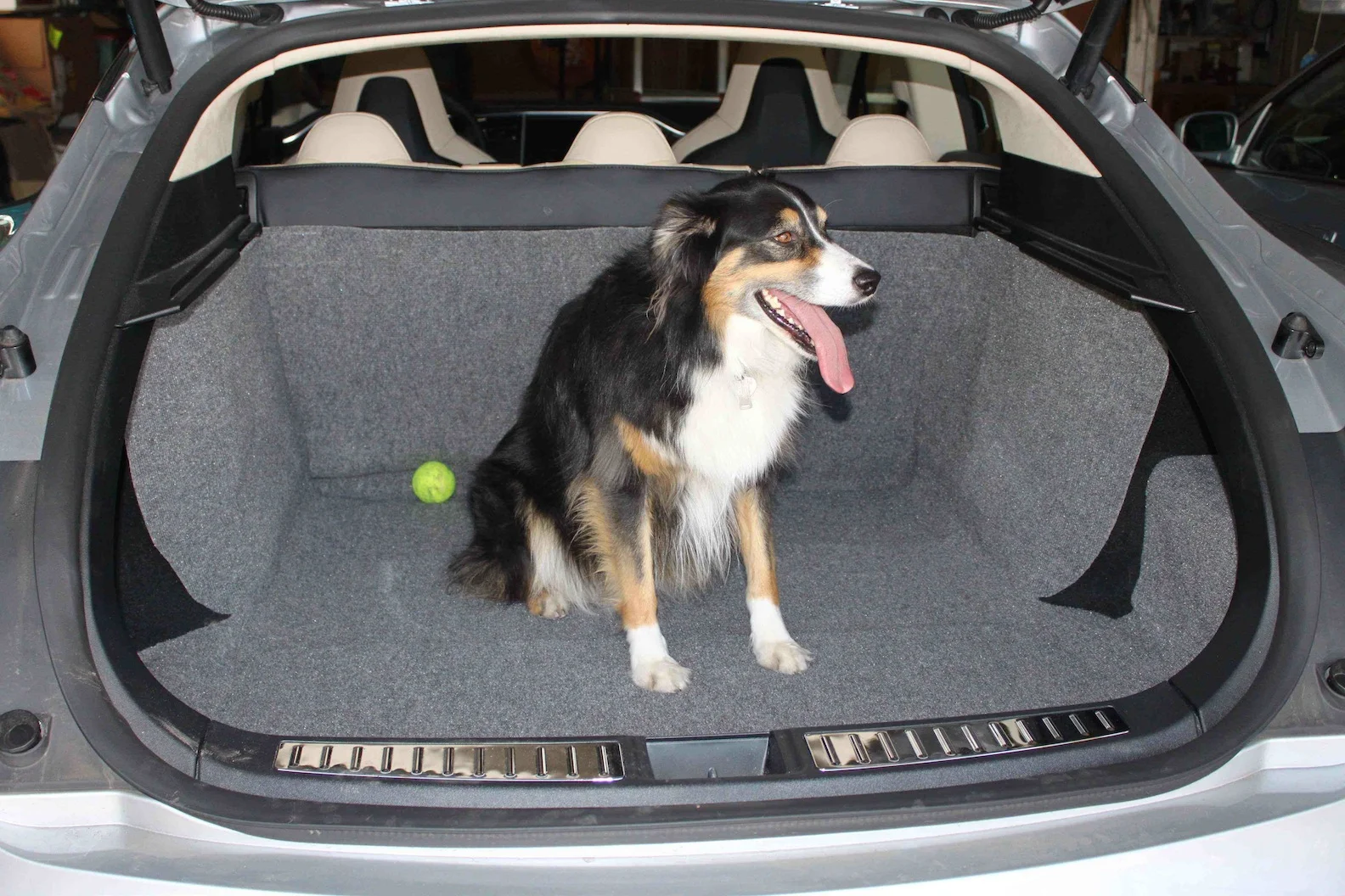 Gypsy in the Model S