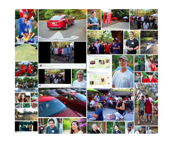 Party at Picnic Creek 2014