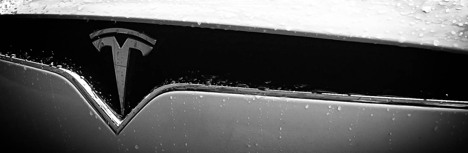 nose bw.jpg