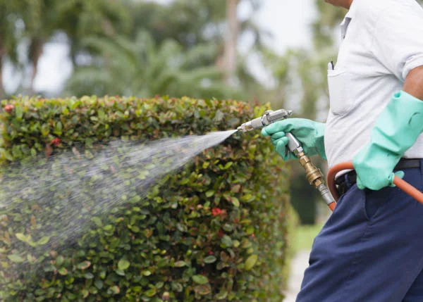 closest-yard-maintenance-for-offices.jpg