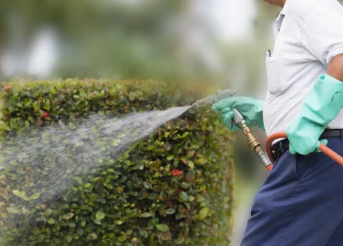 lawn-mowing-service-okc.jpg
