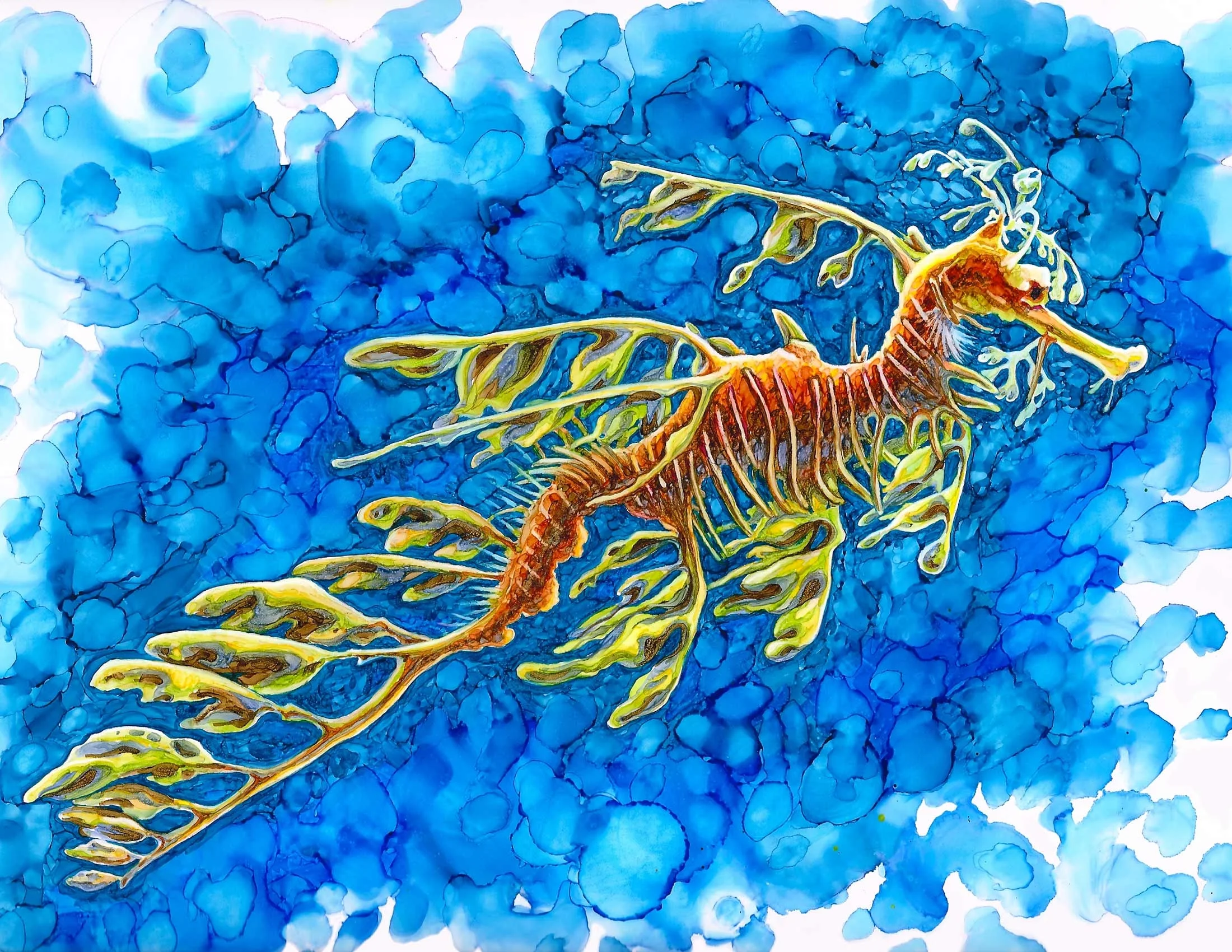 Leafy Seadragon