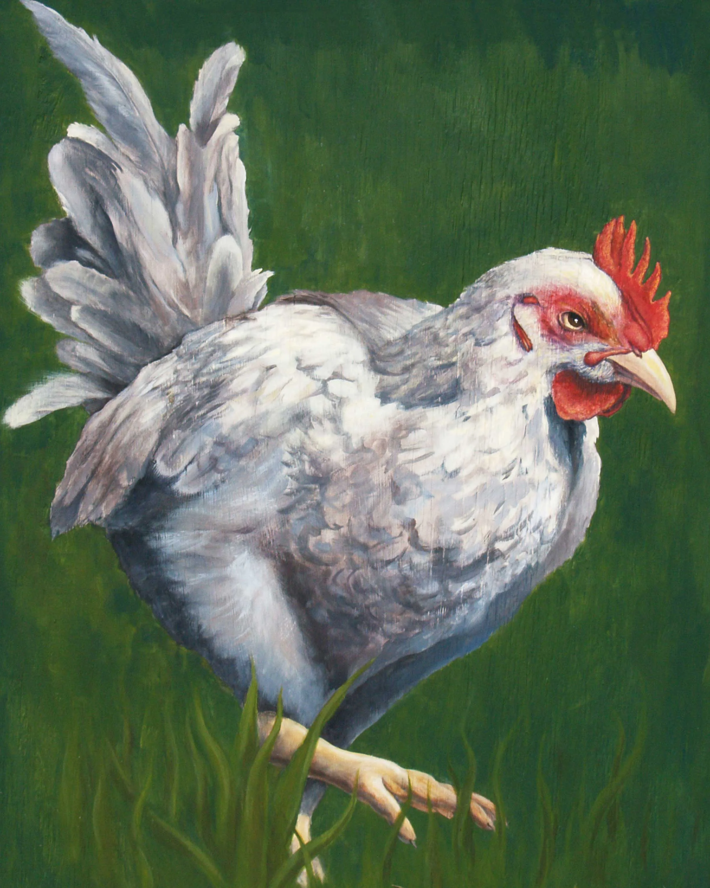 chicken.jpg