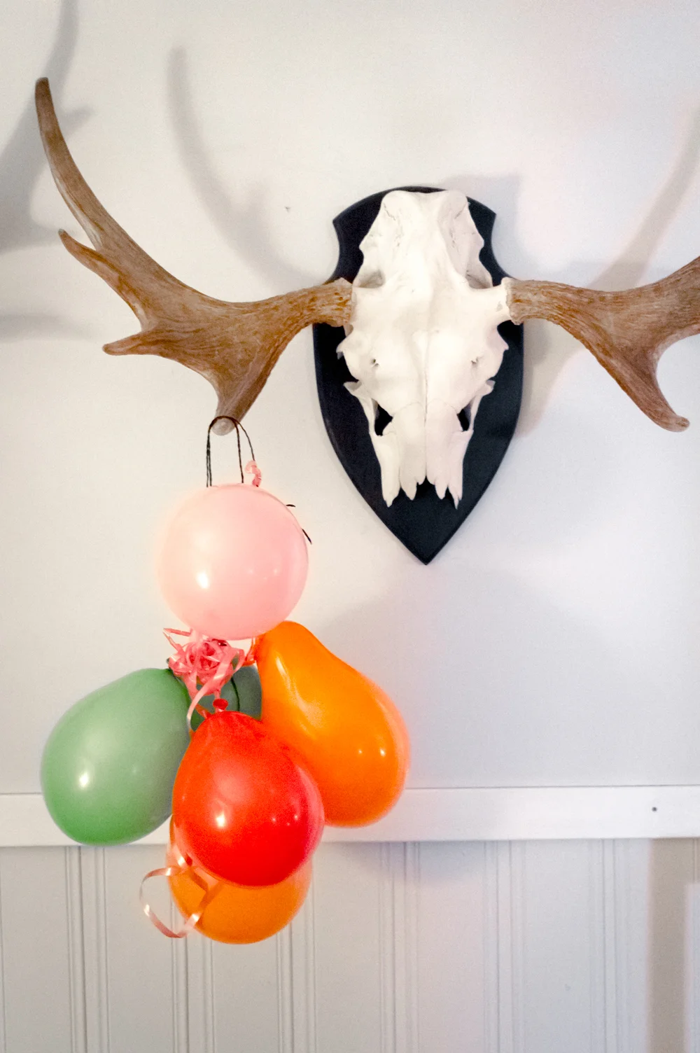 Wild birthday // Vittsjö