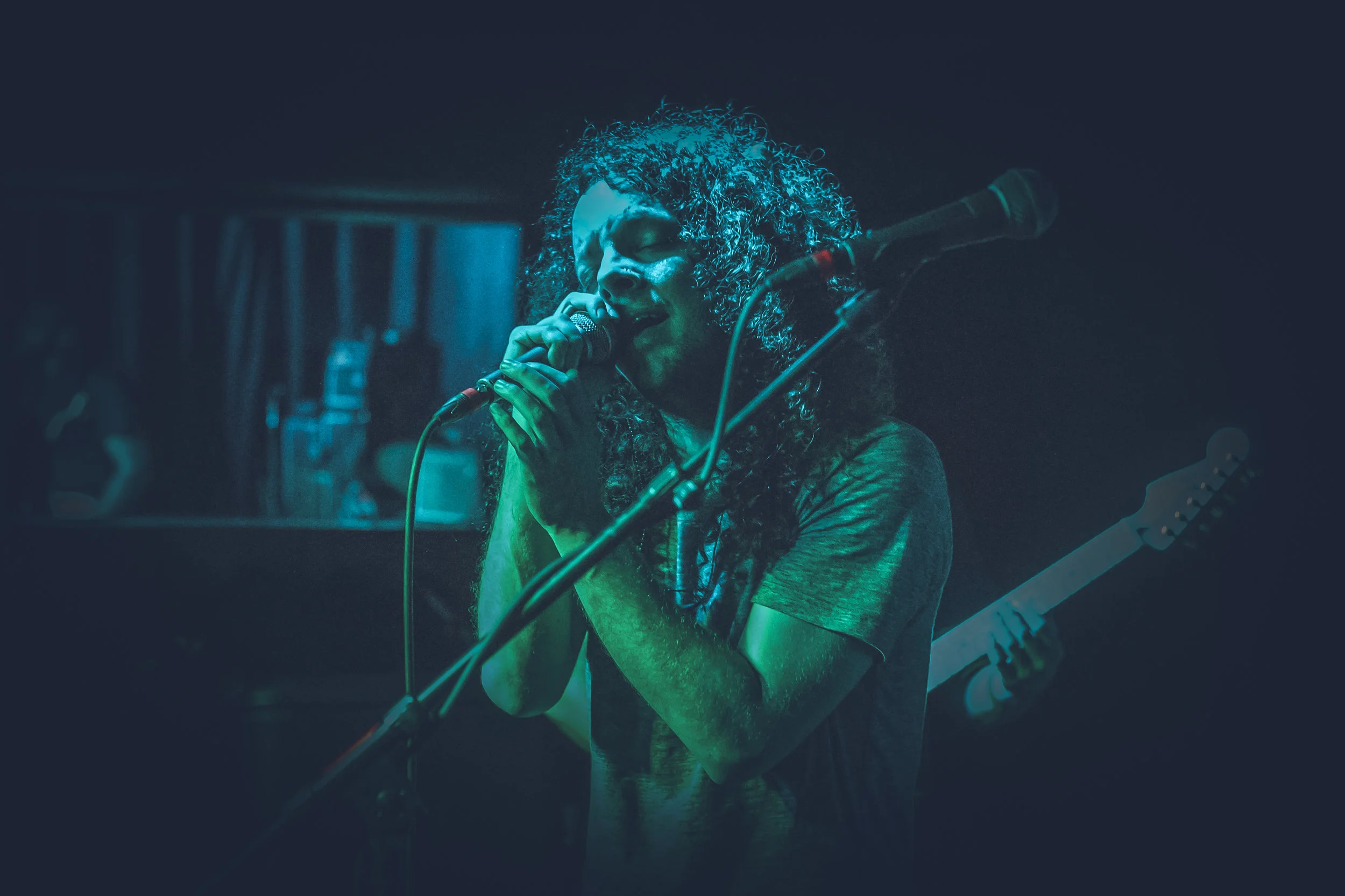 A lot like birds / The Analog, Portland