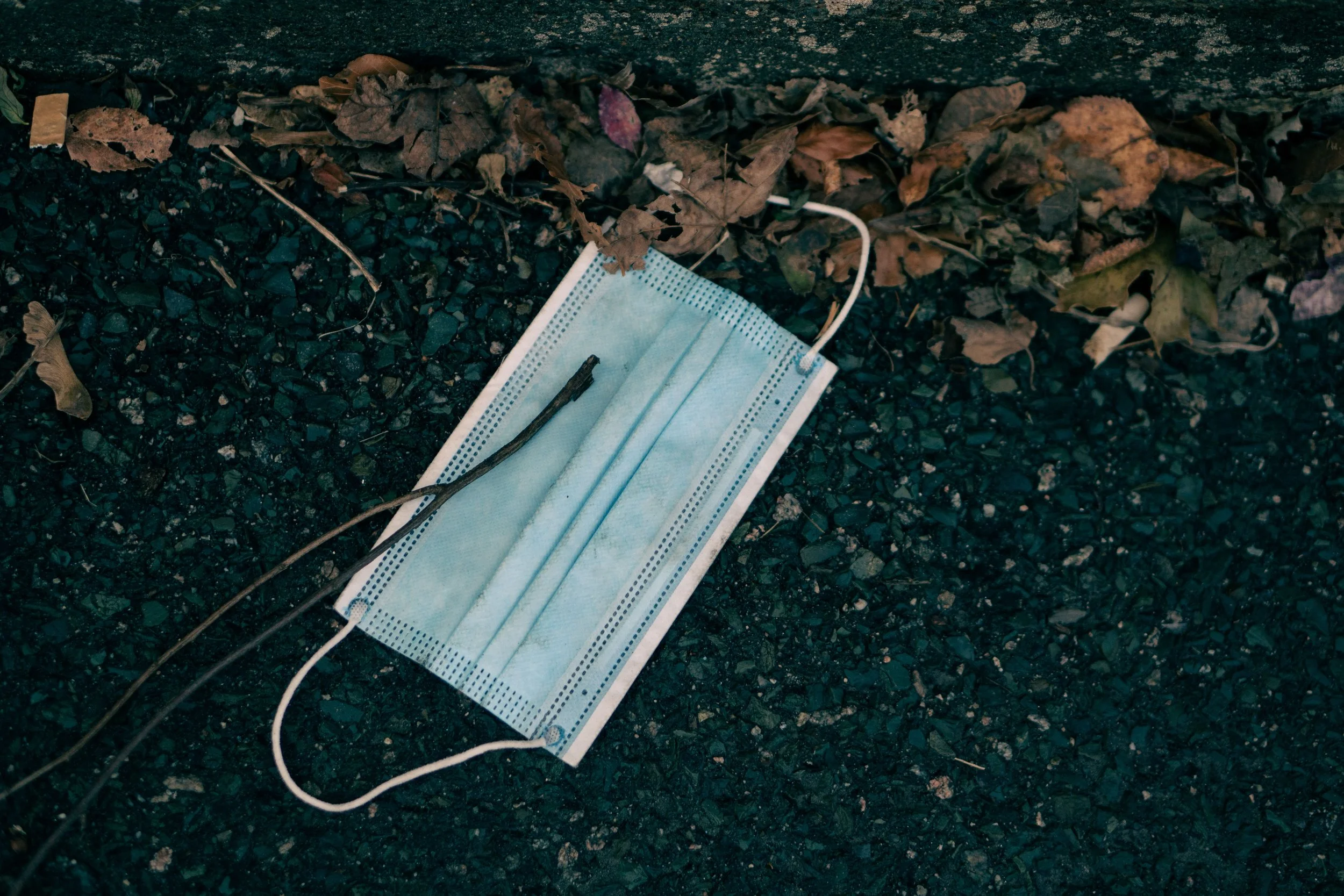 From the Border to the Courtroom: Litigation as a Response to the Disastrous Mishandling of COVID-19 in Immigrant Detention Centers