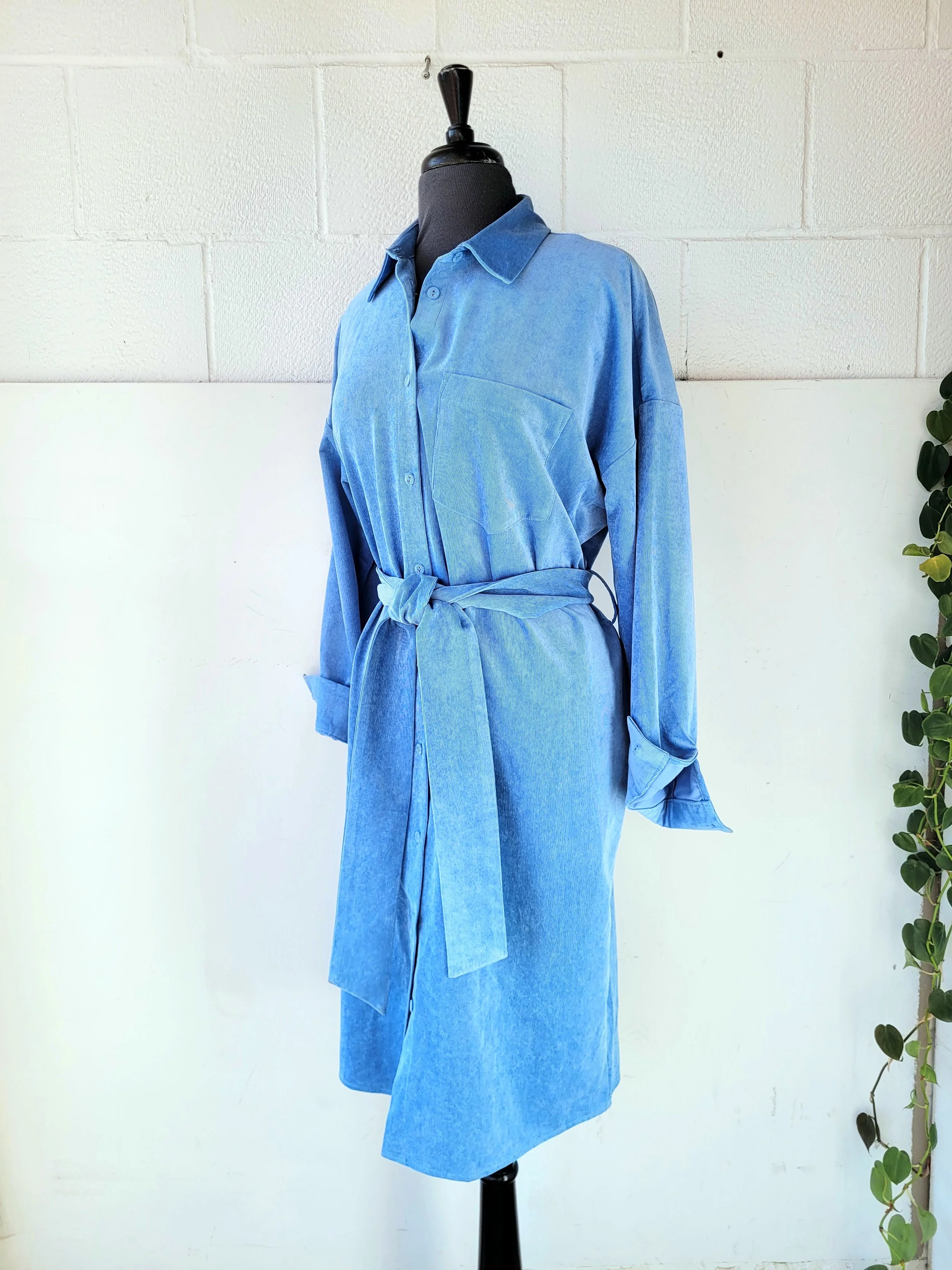 Blue Shirtdress, Size M